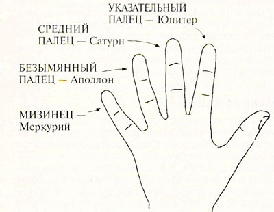 Пальцы на руке и легенды